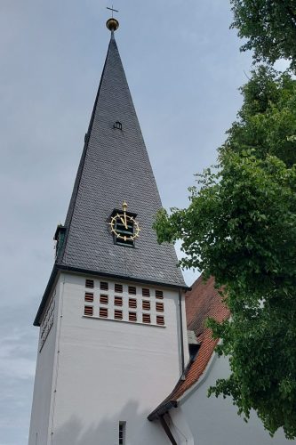 IMG 008